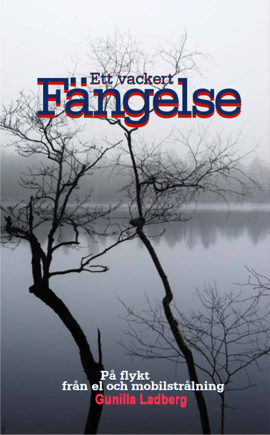 Omslaget till Ett vackert fängelse